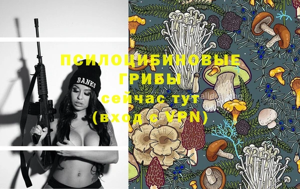 прущие крисы Горнозаводск