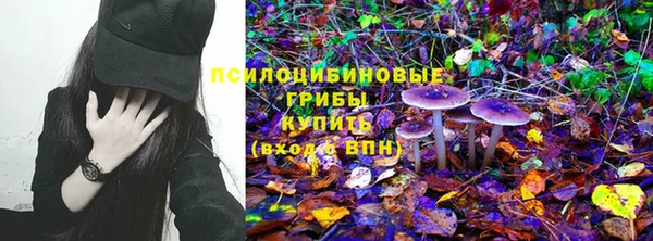 марки nbome Горняк