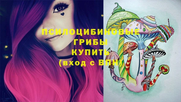 прущие крисы Горнозаводск