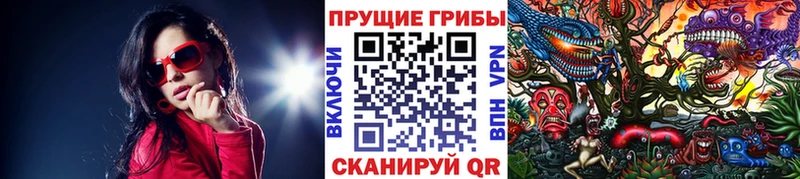 Галлюциногенные грибы Psilocybe  наркота  Шахунья 